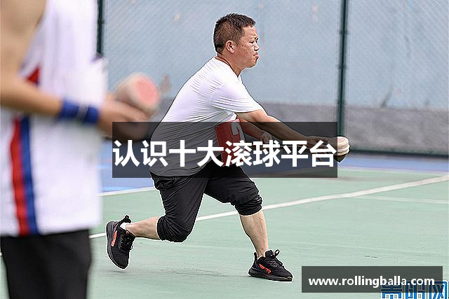 认识十大滚球平台